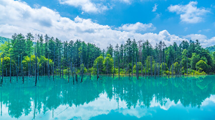 青い池　夏　雲