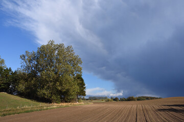 Gewitterwolken über einem trockenen Feld