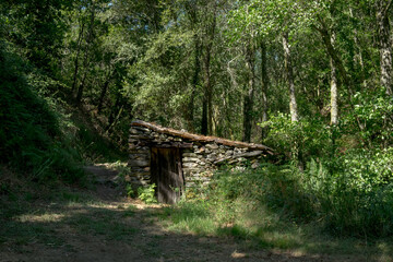 Bosques de Mortagua