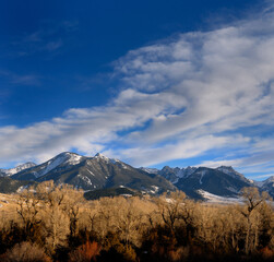 Absaroka Range mountains through Cottonwood trees on Old Yellowstone Trail Montana