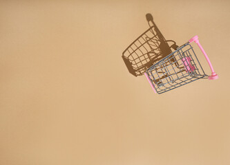 Shopping cart and online shopping during quarantine