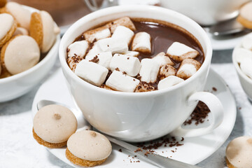 Fototapeta na wymiar cups of hot chocolate with marshmallows, horizontal