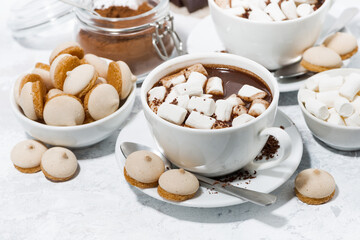 cups of hot chocolate with marshmallows