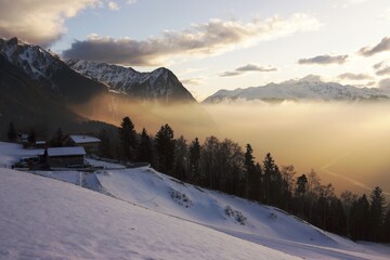 Liechtenstein in winter mist