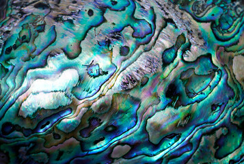 Abstract blue and green background, close up of a shell  - obrazy, fototapety, plakaty