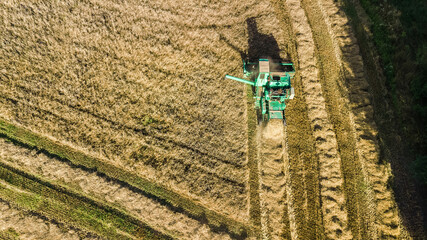 Harvester machine working in field aerial view from above, combine harvester agriculture machine harvesting ripe wheat field
