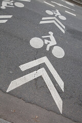 Cycle Lane Symbol, Paris