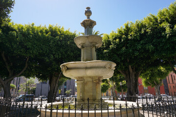Obraz premium fountain or spring between green trees