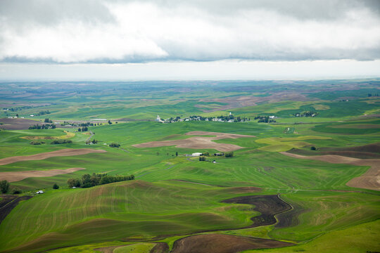 A view from the top of Steptoe Butte  of wheat farms in the spring in the Palouse region of eastern Washington.