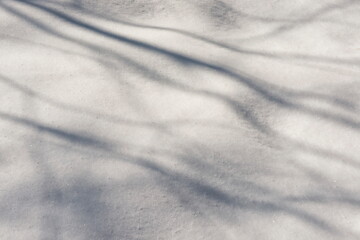 Shadows on Snow