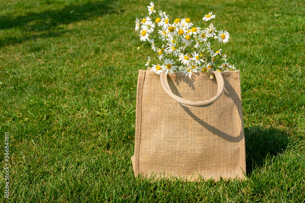 Wall mural a bouquet of chamomiles in a canvas bag