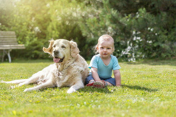 Cute liitle baby boy is posing with Golden Retriever dog in the garden