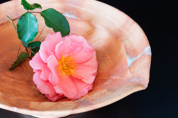 ピンクのバラと素焼きの陶器