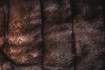 Natural mink dark red fur . Background, texture