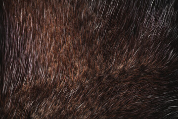 Natural mink dark brown fur . Background, texture