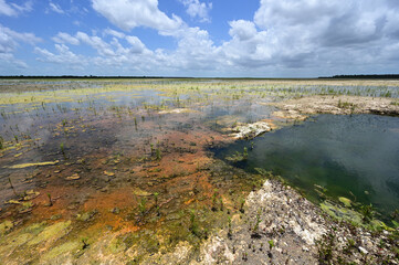 Solution Hole in Hole-In-The-Donut restoration project area in Everglades National Park, Florida under summer cloudscape.