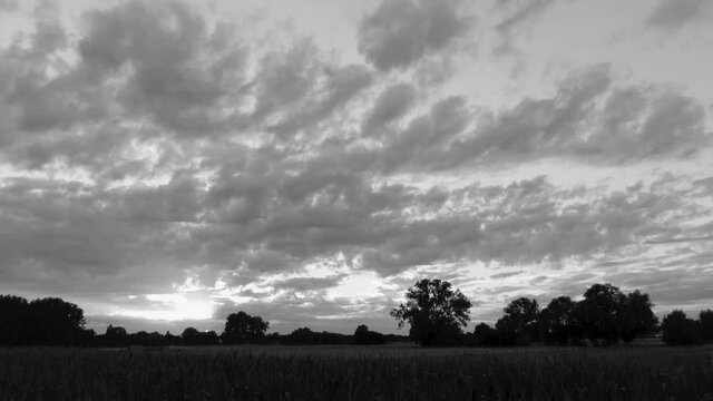 Duality of sunset landscape with dark lighted meadows and cornfields in Flanders, Belgium. Drone shot. Black and white.