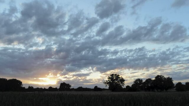 POV walking out of a dark lighted cornfield at sunset. Beautiful rural landscape with mystical cumulus. Drone shot.