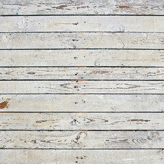 Dirty wooden boards painted with white paint as a backdrop.