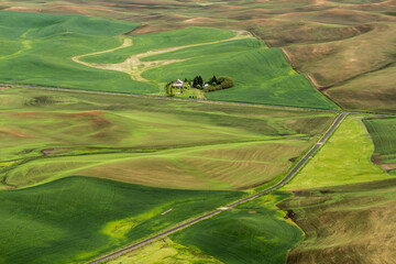 The view in the spring of wheat farms in the rolling hills of the palouse region of eastern washington.