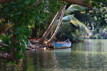 Indie, Kerala, backwaters