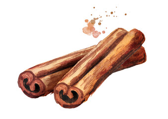 Cinnamon sticks. Hand drawn watercolor illustration, isolated on white background