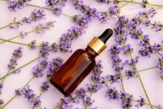  Lavender oil in a bottle and lavender flowers on light background top view
