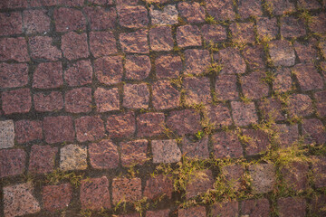 paving stone texture in sunset light