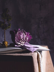 old book with red cabbage