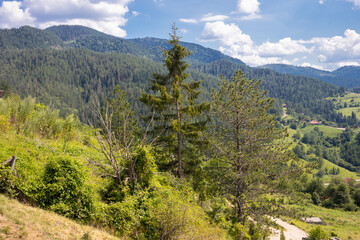 Tara national park in Serbia, Europe. Beautiful landscape with dramatic sky, hills, and mountains. Tourism and travel concept