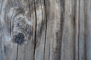 Wooden background. Dry brown wood surface as background. A cracked tree with a knot. Natural background. The warm natural pattern.