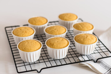 vanilla cupcakes in white cups on a wire rack