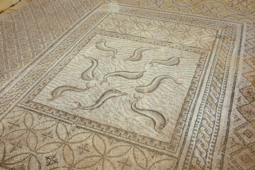 Mosaicos de la casa de Orfeo.Ciudad Romana de Volubilis(II d.c.), yacimiento arqueologico.Marruecos.
