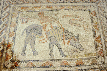Fototapeta na wymiar Mosaicos de la casa del Desultor, atleta sobre un caballo.Ciudad Romana de Volubilis(II d.c.), yacimiento arqueologico.Marruecos.