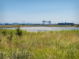 Fototapeta na wymiar RSPB Saltholme, with the Tees Ferry Bridge in the background