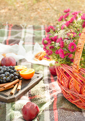 Autumn picnic in the park, warm autumn day. Basket with flowers on a blanket. Tea, croissants, cookies, grapes in yellow autumn leaves. Autumn concept.