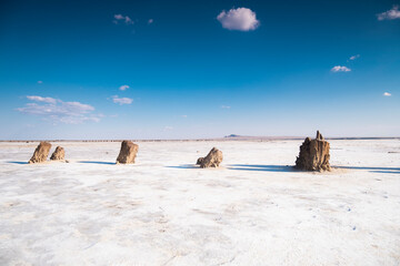 Salt lake landscape in sunny weather. Stakes in the lake.