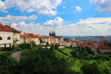 Fototapeta na wymiar Prague vineyards in Hradcany against the background of St. Vitus Cathedral on a Sunny summer day under the clouds.