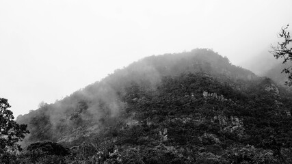 mountain with mist in black and white