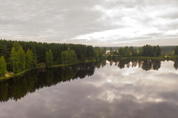 summer natural green landscapes in the early morning with trees by the lake