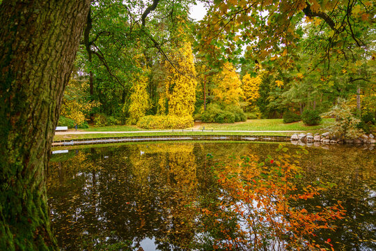 Beautiful autumn landscape in the Botanical park