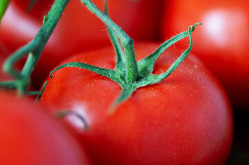 Red tomato close up
