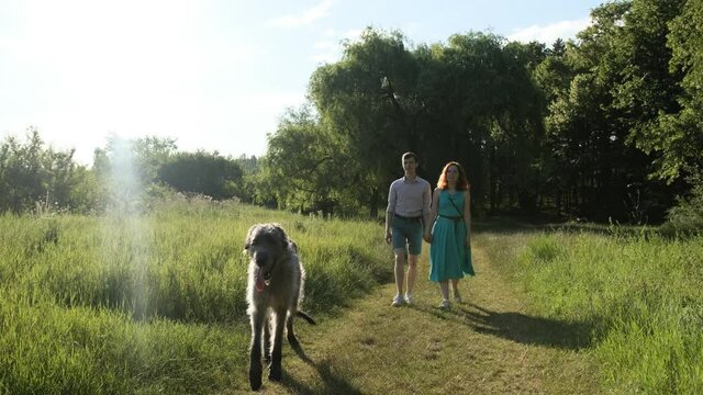 Lovely young couple walking in the park with their irish woulfhound dog, having fun together.
