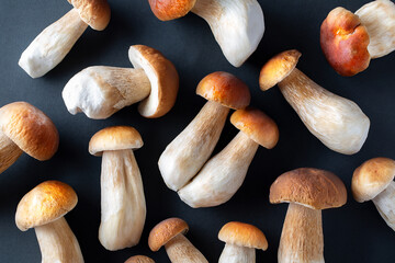 Boletus mushrooms. Fresh Royal porcini mushrooms on a dark background. Top view.
