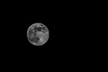 full moon in the night