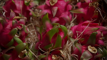 Pithaya Dragon Fruit