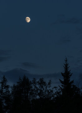 Moonlight sky during ny kayak camping trip © Manuel Lacoste