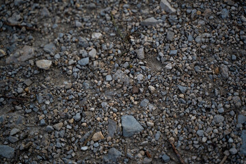 Ground of Earth