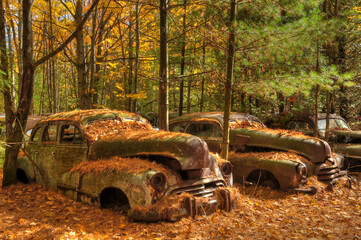 Old abandoned car in autumn colored woods
