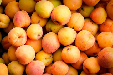 Ripe yellow and orange apricots . Background of fruit.
